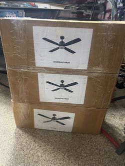 Ceiling Fan(s)