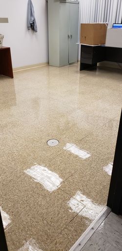 Striping.floorrs...and.. Waxxing Floors Carpet Shampoo Scrober Tails
