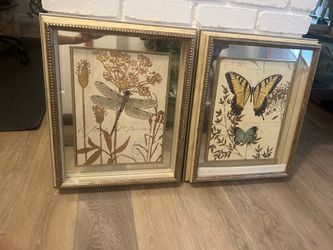 Matching Z Gallerie “Nature’s Curiosities” Framed Wall Art Set – Dragonfly & Butterfly
