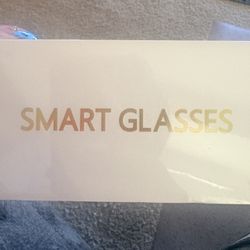 Smart Glasses 