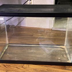 21 gallon glass fish tank/terrarium/hermit crab tank