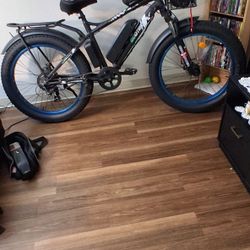 Electric Fat Tire Bike