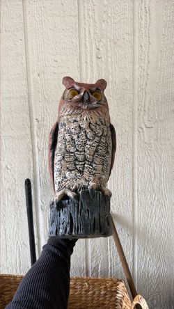 Decorative Owl Decoy Statue