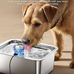 3 Gallon Stainless Steel Pet Water Fountain for Large Dogs, Automatic, 2 Filters