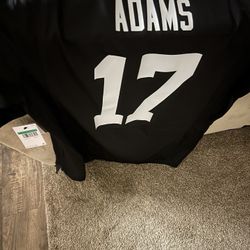 Raiders Devante Adams Jersey