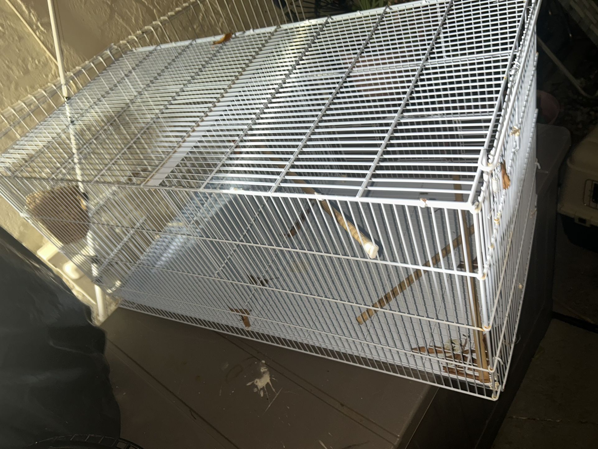 Double Bird Cage
