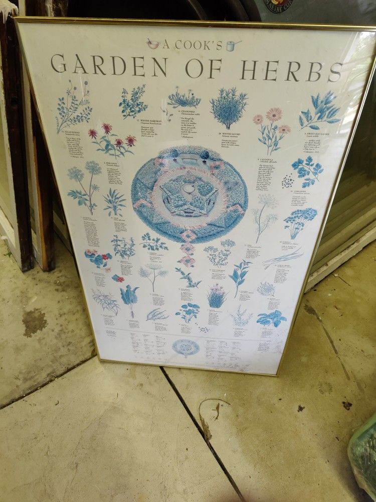 Framed Herb Poster