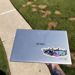 ASUS Google Chromebook  (C425 series).