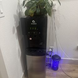 Avalon Water Dispenser 