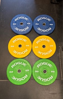 Rogue Fitness 210 Pound Color Echo Bumper Set