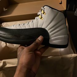Jordan Retro 12
