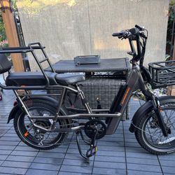 Radrunner Max - Fully Loaded  - Mint 