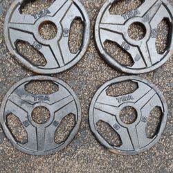 PAIR  OF  OLYMPIC  TSA  (Easy Grip)  PLATES  : 10s  &  5s