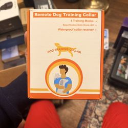 Dog Training Collar 