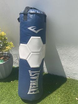 Everlast punching bag