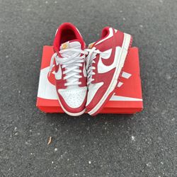 Nike Dunk Low Size 13 