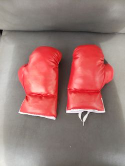 Youth Boxing Gloves