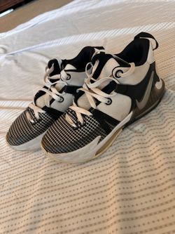 Lebron James Basketball Shoes