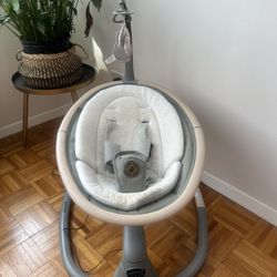Baby Swing