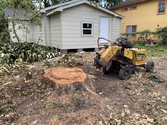 Stump Grinder