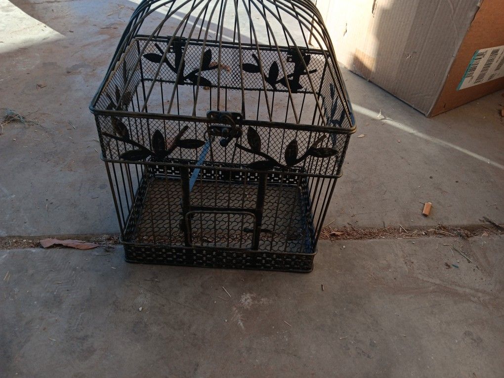 Bird Cage