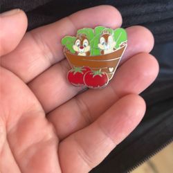 WALT DISNEY 2007 HIDDEN MICKEY CHIP DALE HEALTH FOOD TOMATOES TRADING PIN 