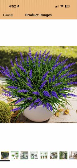Brand new 15 Bundles UV Resistant No-Fade Outdoor Artificial Plants & Flowers, Adjustable Height Fake Lavender Flowers Indoor & Outdoor Decor for Gard