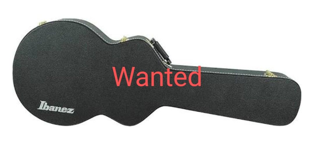 Guitar lbanez
