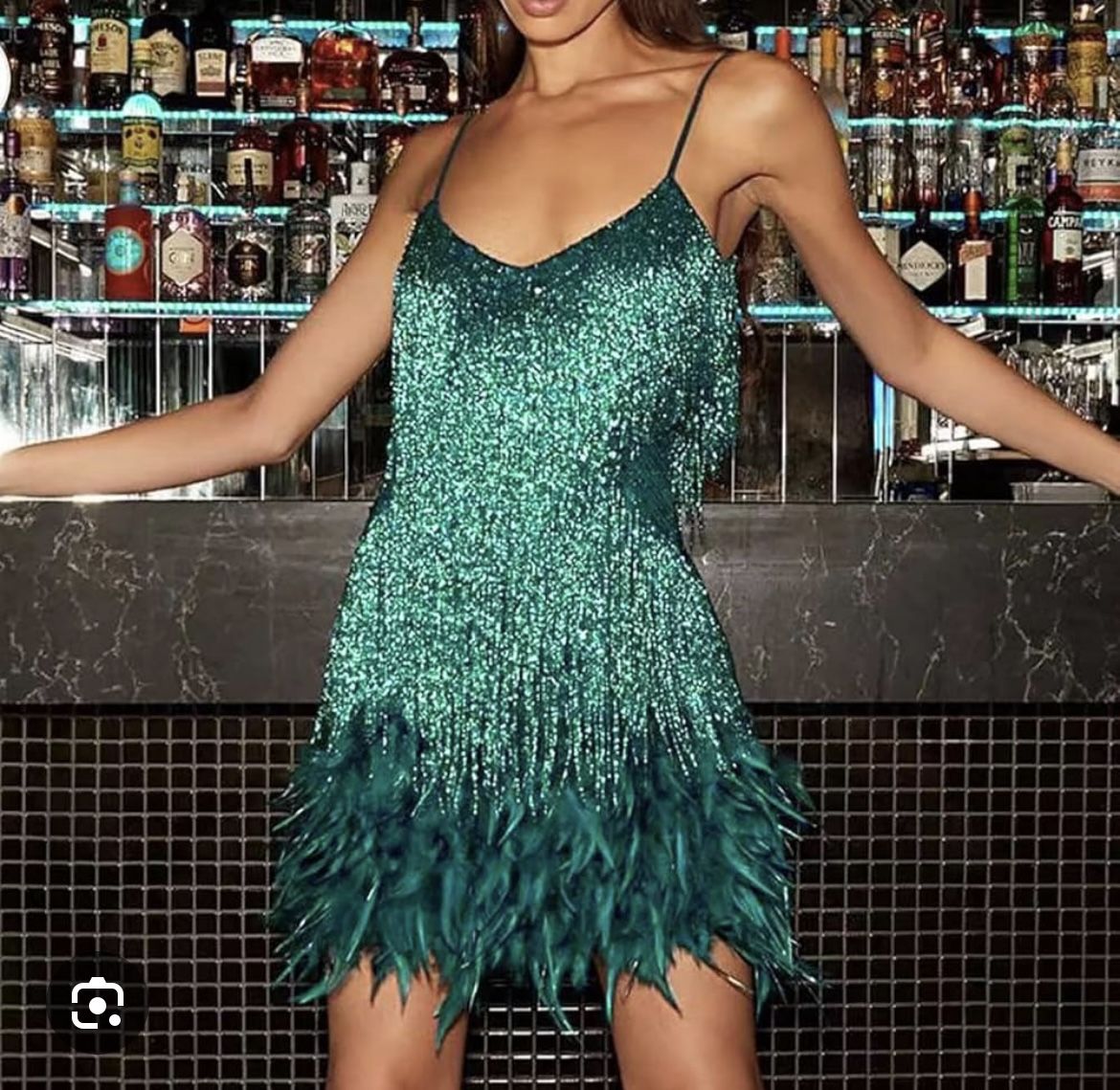 Fringe And Feather Flapper Style Dress