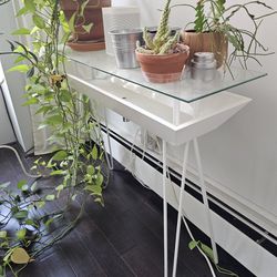 Modern Glass Table, W/ Planter 