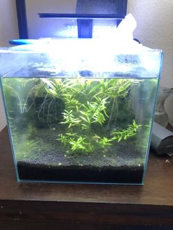 6 Gallon Tank 