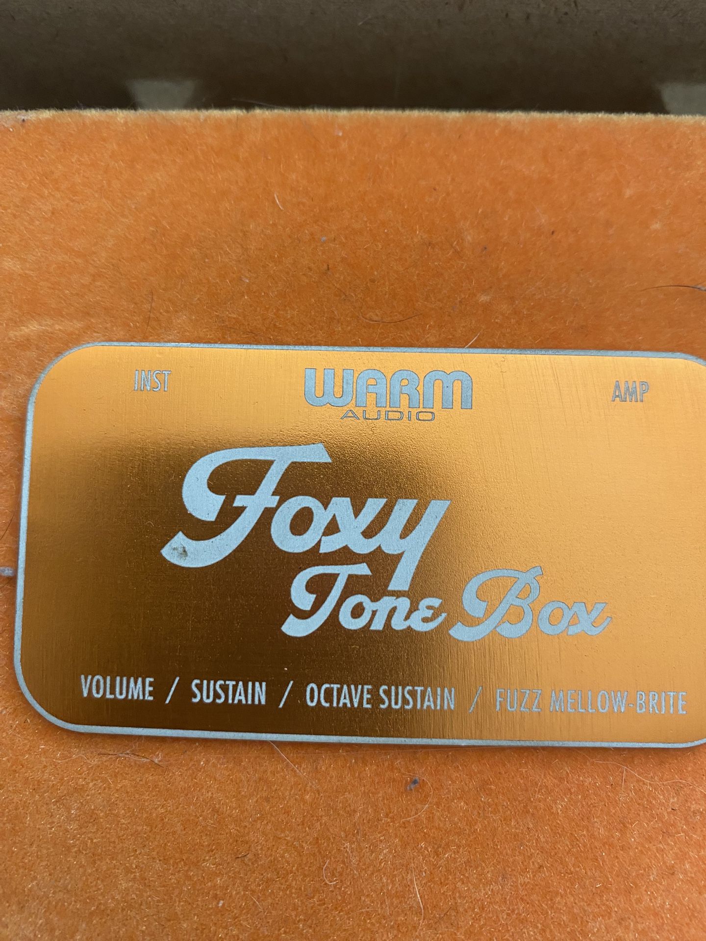 Warm Audio Foxy Tone Box