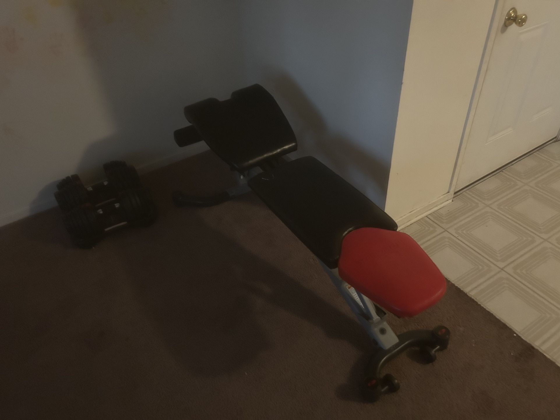 Home Gym Bench And Set Of Dumbbells