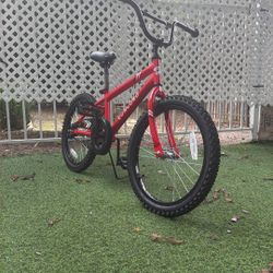 Concord Bike 20 Inches Tire