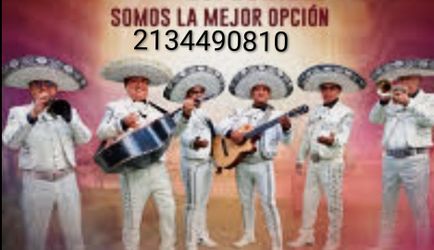 Vihuela Mariachi trompeta
