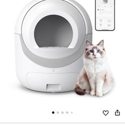 New Bcharya Cat Litter Box $200 