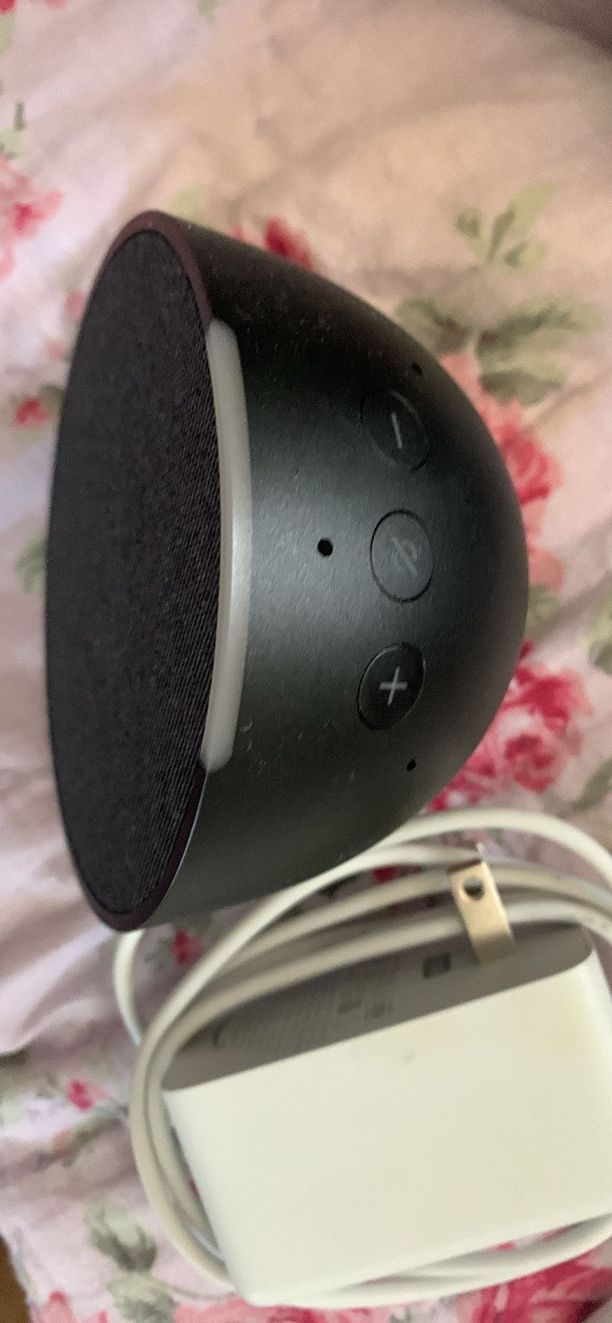 Echo Dot