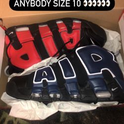 Fresh Box And All