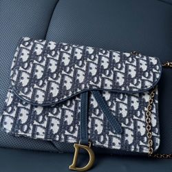 Dior Saddle Clutch