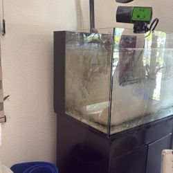 Aquarium For Sale 