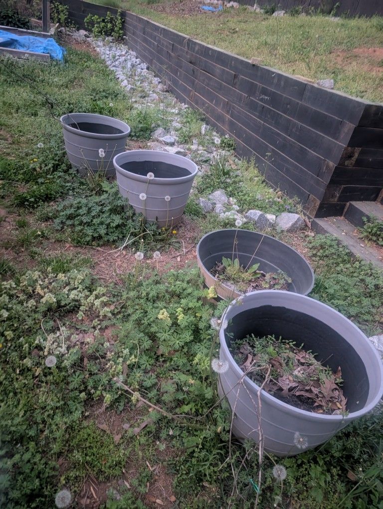 Large Plastic Planters And Tomato Cages