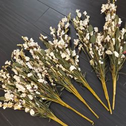 Flower Stems