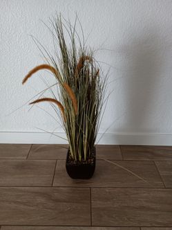 Fake grass plant