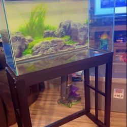 Fish Tank With Stand 29gallons  Perfect conditions! 👌🏼