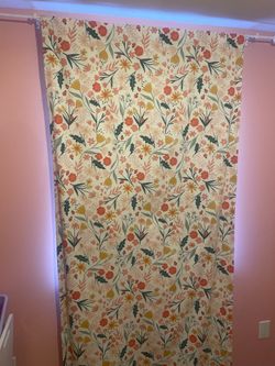 Curtain