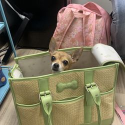 Dog Hand Bag 