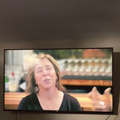 Vizio Flat Screen 