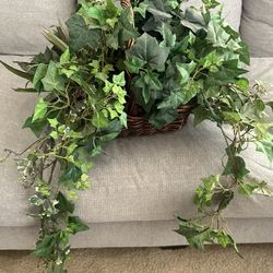 Artificial Plants With Basket