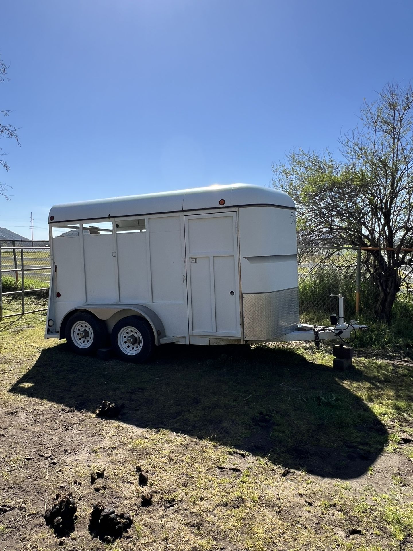 2004 Morgan Built 2 Horse Slant