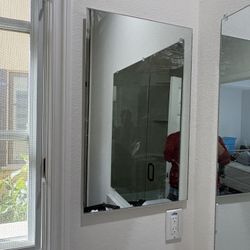 Bathroom Medicine Cabinet with Mirro